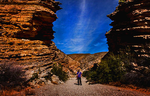 Big Bend National Park