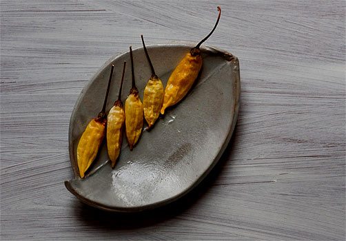 Catherine-White---2009-Winter-Solstice---Pepper-Line on elliptical dish