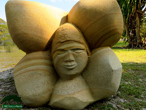 Pandanas Seed People-–-Antone Bruinsma