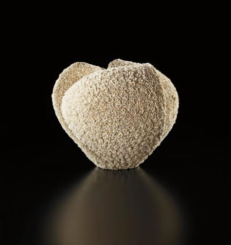 Tane '- (Seed), - circa-2013-Makiko-Hattori
